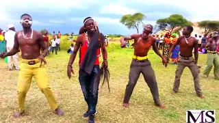 jipolo harusi ya bundala by mazoya studio unofici