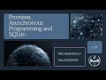 WA1-2026-L07 Promises Exercise on Asynchronous Programming and SQLite