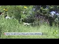 Allergy Nightmare Georgia sees record breaking pollen counts
