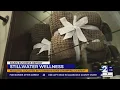 Stillwater Wellness brings AI-enhanced spa treatments to Midland