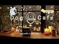 Peaceful Night for the Soul ☕️ – Easy & Relaxing