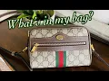 WIMB Gucci Ophidia GG Supreme Mini Bag