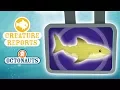 Download Lagu Octonauts - Creature Reports | Whales, Sharks \u0026 Dolphins!