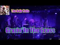Grazin' In The Grass - The Baja Yetis