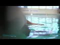 Elmwood Spa Holiday
