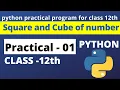 find Square and cube of a number Python program practical program - 01