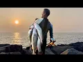 Lagu ഇത്രയും മീനുകൾ ഇവിടെ ഉണ്ടായിരുന്നോ ../Sea Fishing