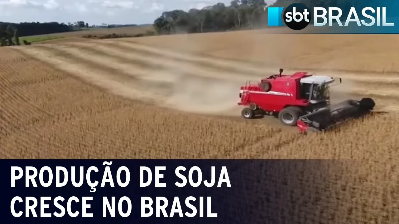 Produção de soja é a maior da história no Brasil | SBT Brasil (01/07/23)