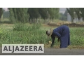 Download Lagu The Mother Refugees - Al Jazeera World