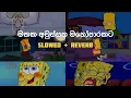Download Lagu මතක අවුස්සන මනෝපාරකට ( Slowed + Reverb ) සිංදු එකතුවක් | Manoparakata Sinhala Songs Collection