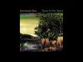 Fleetwood Mac - Little Lies