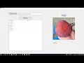 mango grade classification demo