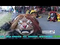 Download Lagu KUCINGAN \u0026 MACAN ngONTAL Jaranan Laras Wangi