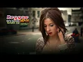 Alok The Chainsmokers  Mae Stephens  Jungle  Reggae Rmx 2024 (Stação Remix)