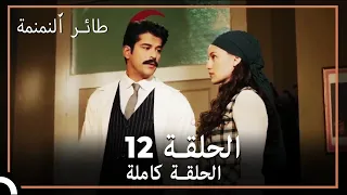 طائر النمنمة الحلقة 12 