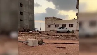 اغنية الشهيد حبيب الله الفنانة امال الجوارح  هندسة الجيلاني الجيلاني وتوزيع عبد القادر الجيلاني دندنها