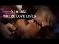 Download Lagu DJ AURM - Where Love Lives