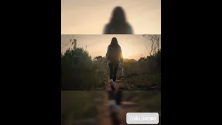 حاله عامه   مصرى   دندنها