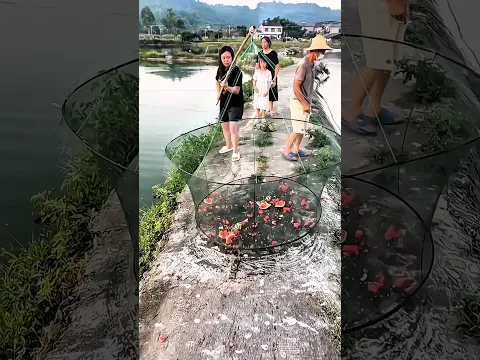 পচা তরমুজ দিয়ে কীভাবে মাছ ধরল? 😱🐠