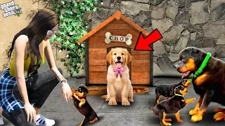 Franklin Found Chop Puppies Inside His House GTA5 |#gta5