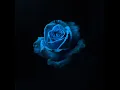 Dj Zero - Bright Blue Rose