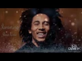 Jamming - Remix - Bob Marley  - Dj Rob Oliveira