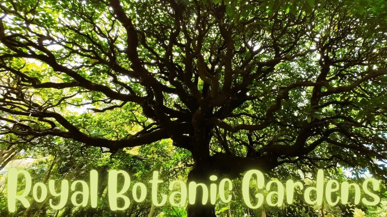 Royal Botanic Gardens, Sydney, Australia