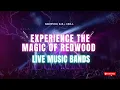 Download Lagu The Jins | Live at The Redwood Bar
