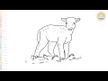 Sheep Lamb in the grass drawing easy Outline art How to draw A Lamb easily