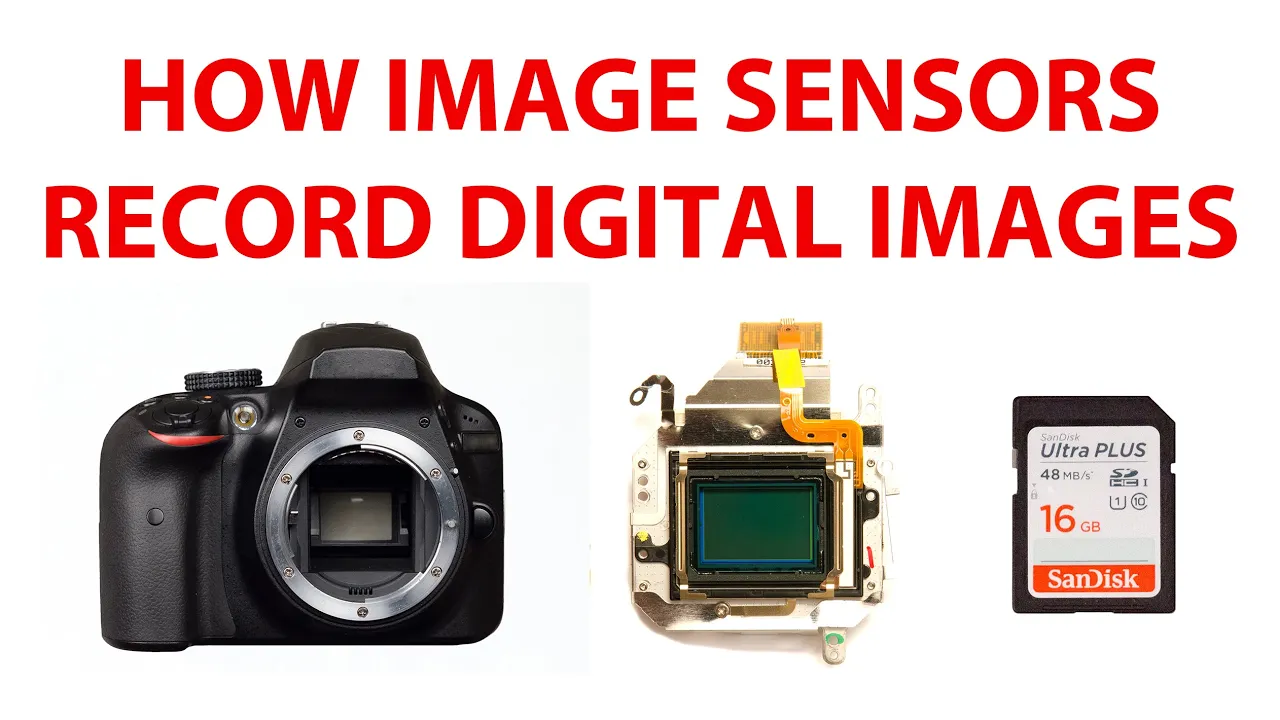How Does a Digital Camera Record Images