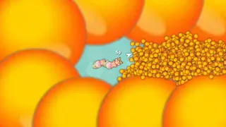 Snake.io Lovely Snake Pro Skill 120,000+ Score Epic Snake io Gameplay!