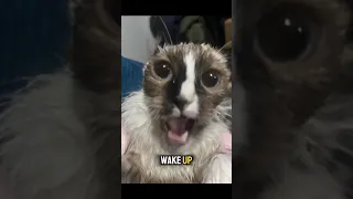 Wake Up You Re Getting Comfortable 