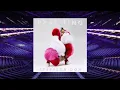 16 Shots- Stefflon Don (Empty arena version)