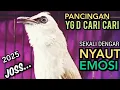 Lagu Suara Trucukan TERBAIK YG D SUKAI LAWAN ‼️ SEKALI PUTAR SEMUA TRUCUKAN NYAUT NGROPEL MENDENGAR NYA