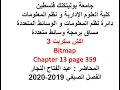 The Bitmap and BitmapData classes