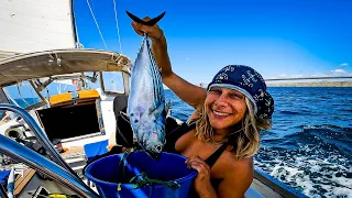 OCEAN LIFESTYLE In The Pacific (EP 26)