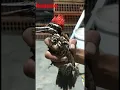 Download Lagu Burung langka pelatuk bawang jari 4 pokal lebih panjang #shorts #burungmasteranterbaik