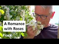 Download Lagu Romantic ROSE GARDEN Tour — Ep. 039