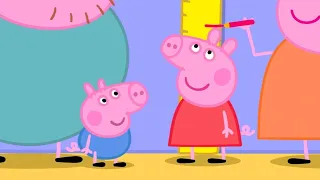 How Tall Are Peppa And George Peppa Pig Full Episodes