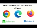 How to download the Selenium drivers Chrome driver and gecko driver Firefox from the browser