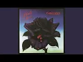Download Lagu Roisin Dubh (Black Rose) : A Rock Legend