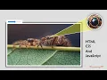 Image Magnifier Glass Using HTML CSS and JavaScript Zoom Image On Hover JavaScript Project