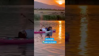 وقتی تو شیراز میری پدل سواری 