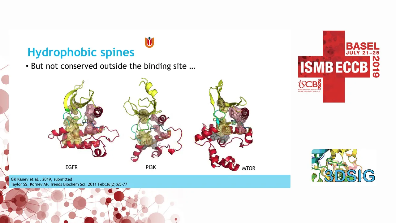 The landscape of atypical and eukaryotic protein kinases - Georgi Kanev - 3DSig - ISMB/ECCB 2019