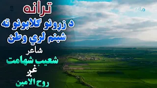 ترانه د زړونو ګلابونو ته شبنم لري وطن شاعر شعیب شهامت غږ روح الامین 