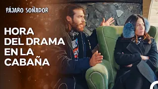 La Historia Del Albatros #20 - Pájaro Soñador
