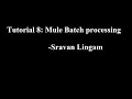 Tutorial 8 Manual Batch processing using Mule Mulesoft