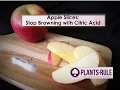 Apple Slices Without Browning How to Use Citric Acid to Stop Oxidation from Plants-Rule