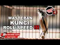 Download Lagu 🔴 MASTERAN SUARA KASAR KUNCI ROLL SPEED PADA BURUNG CENDET