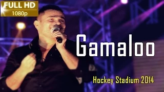                                                   عمرو دياب   جماله دندنها